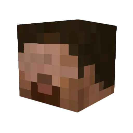 fecal_funny Minecraft avatar head, 3D render