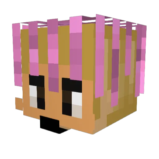 fede_ciri Minecraft avatar head, 3D render