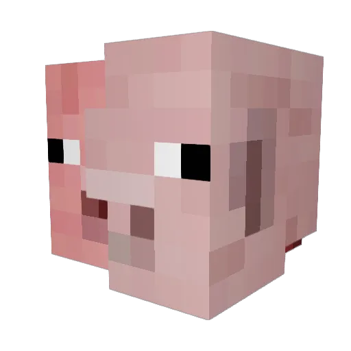 fedecraft006 Minecraft avatar head, 3D render