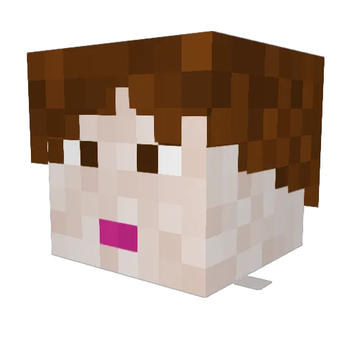 fedelapi Minecraft avatar head, 3D render