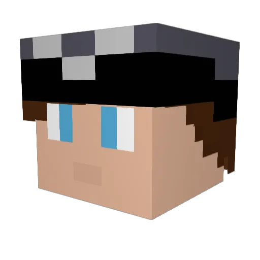 fedewooz Minecraft avatar head, 3D render