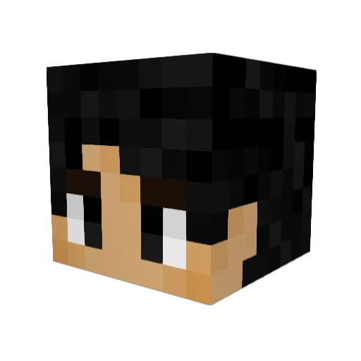 fedganac88 Minecraft avatar head, 3D render