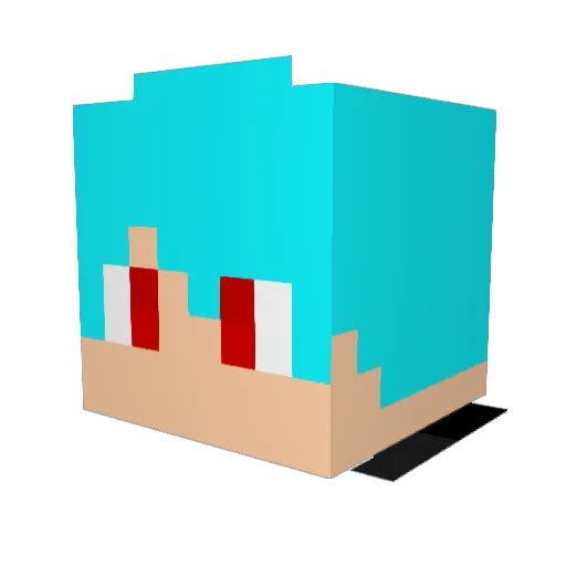 fedrix204 Minecraft avatar head, 3D render