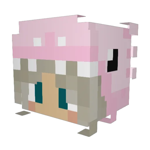 feebano Minecraft avatar head, 3D render