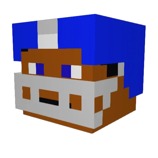 feederbann123 Minecraft avatar head, 3D render