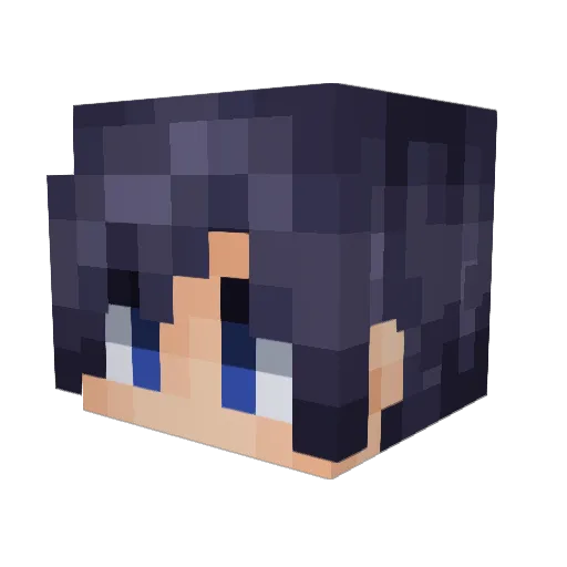 feeeeew Minecraft avatar head, 3D render