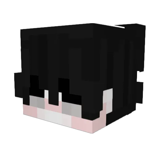 feelingbroke Minecraft avatar head, 3D render