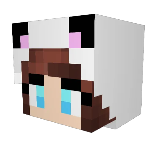 feelittt Minecraft avatar head, 3D render