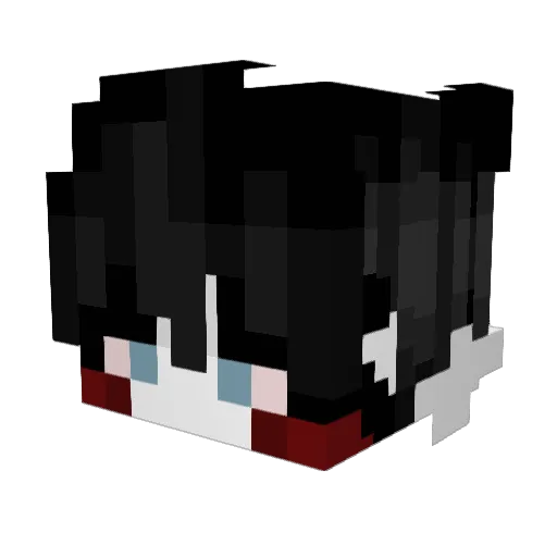 feelwenot Minecraft avatar head, 3D render
