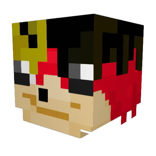feesh21 Minecraft avatar head, 3D render