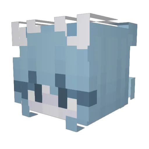 feeshh_ Minecraft avatar head, 3D render