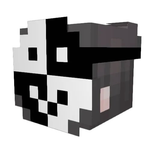 feeshirl Minecraft avatar head, 3D render