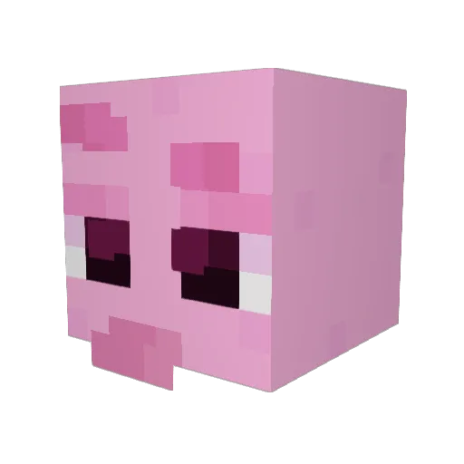 feetl0vr Minecraft avatar head, 3D render