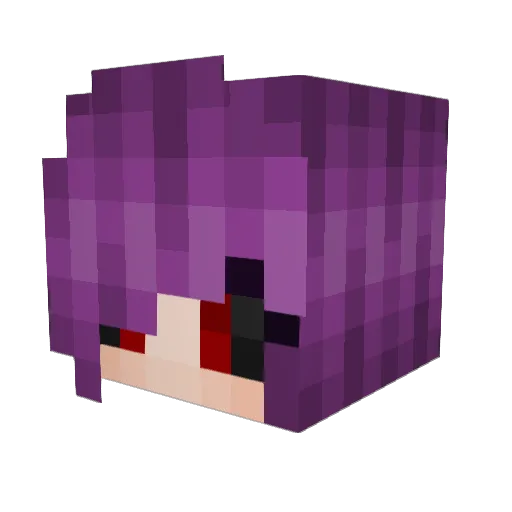 feetsniffer32 Minecraft avatar head, 3D render