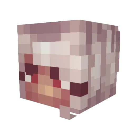 feetunder7 Minecraft avatar head, 3D render