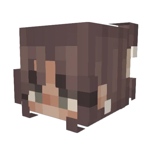 feev23 Minecraft avatar head, 3D render