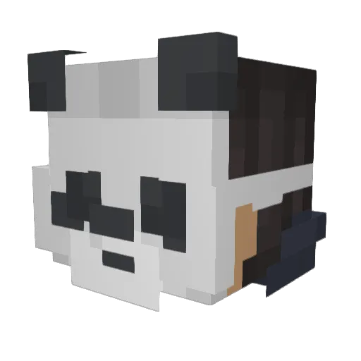 feezy37 Minecraft avatar head, 3D render