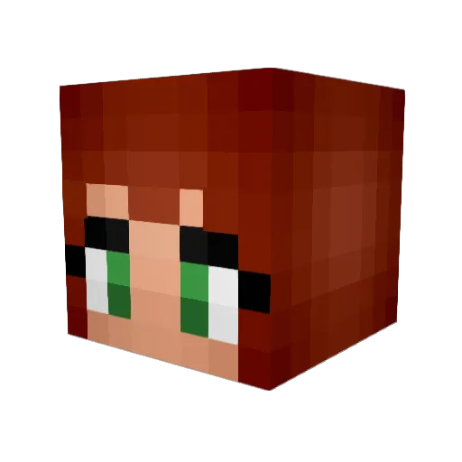 fefifofever808 Minecraft avatar head, 3D render
