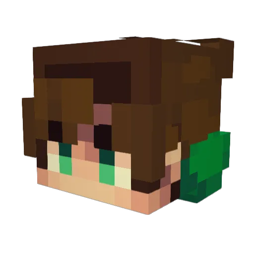 feiboo Minecraft avatar head, 3D render