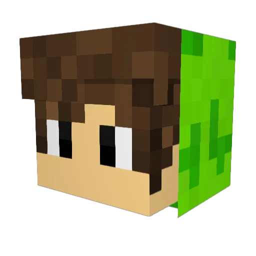 feichti991 Minecraft avatar head, 3D render