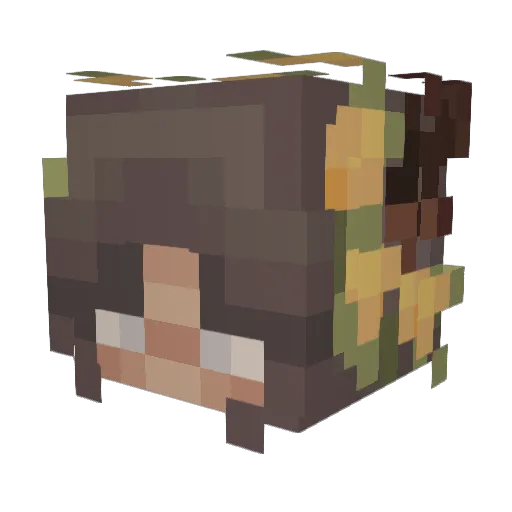 feijalol Minecraft avatar head, 3D render