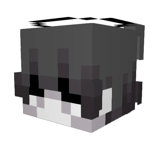 feiniya Minecraft avatar head, 3D render