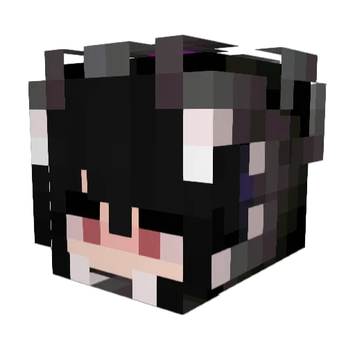 feisito Minecraft avatar head, 3D render