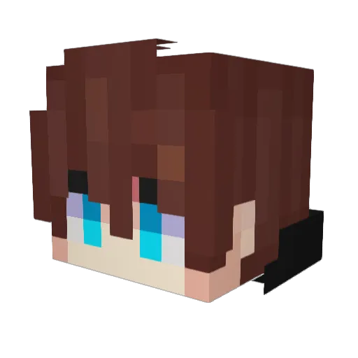 feiwi2 Minecraft avatar head, 3D render