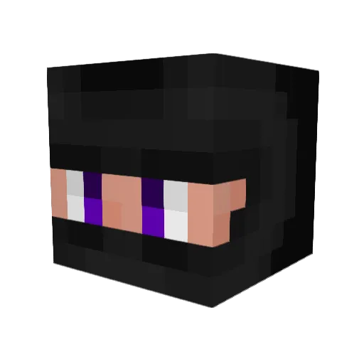 fel1pee_ Minecraft avatar head, 3D render