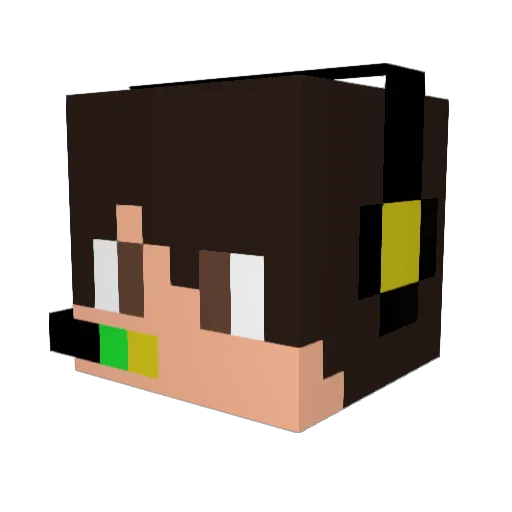 fel_795 Minecraft avatar head, 3D render
