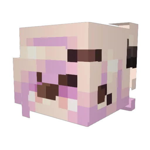 feleska Minecraft avatar head, 3D render