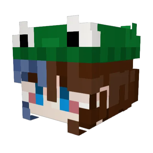 felifelle Minecraft avatar head, 3D render