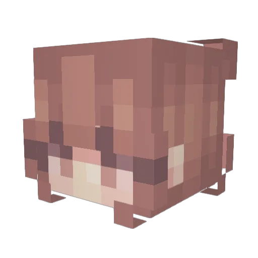 felifo Minecraft avatar head, 3D render