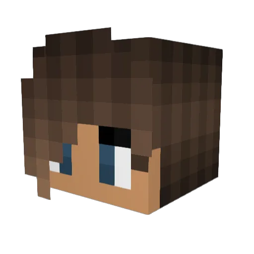 felinetje Minecraft avatar head, 3D render