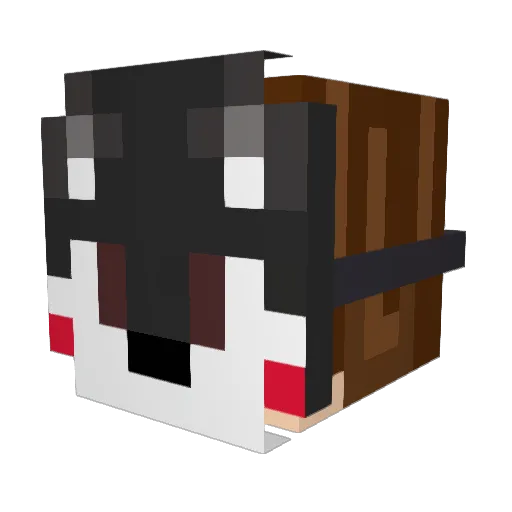 felio03 Minecraft avatar head, 3D render