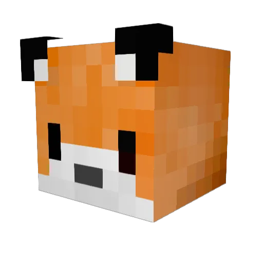 felio_ Minecraft avatar head, 3D render