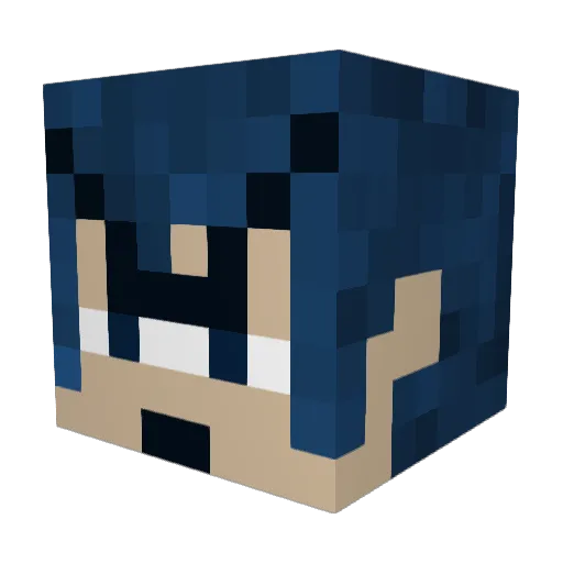 feliv41 Minecraft avatar head, 3D render