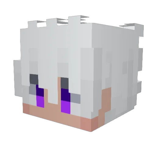 felix95429 Minecraft avatar head, 3D render