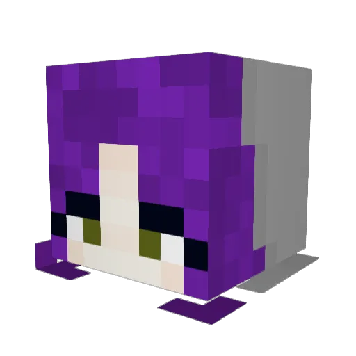 felixlovesu Minecraft avatar head, 3D render