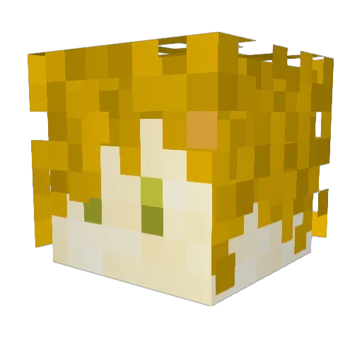 felixold Minecraft avatar head, 3D render