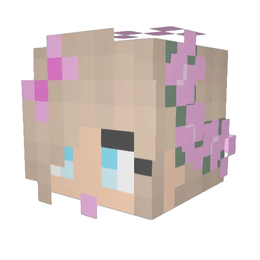 felixtheagent Minecraft avatar head, 3D render