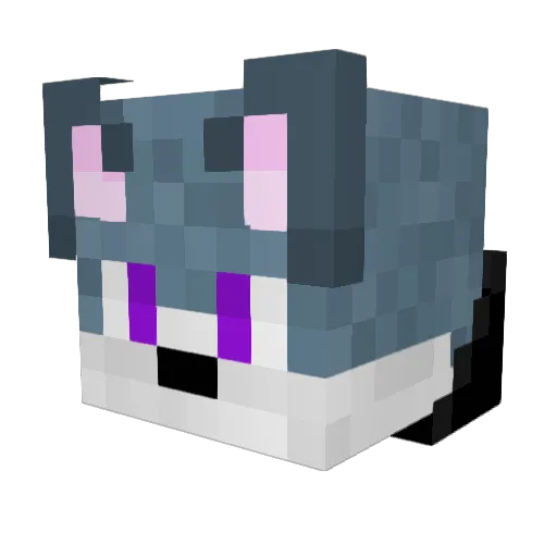 felixthewolf Minecraft avatar head, 3D render