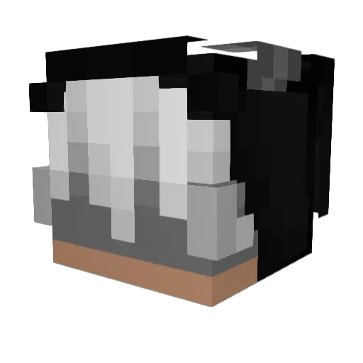 feliz6627 Minecraft avatar head, 3D render