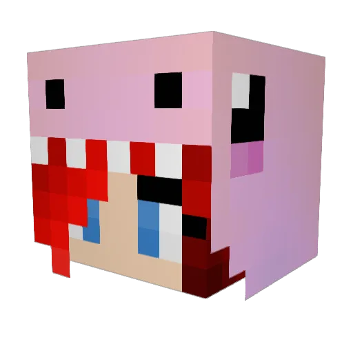 fella2014 Minecraft avatar head, 3D render