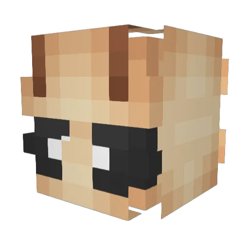 fellagort Minecraft avatar head, 3D render