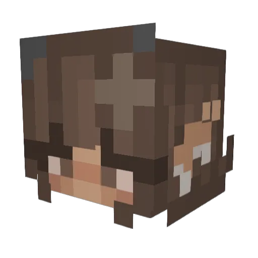 fellmann Minecraft avatar head, 3D render