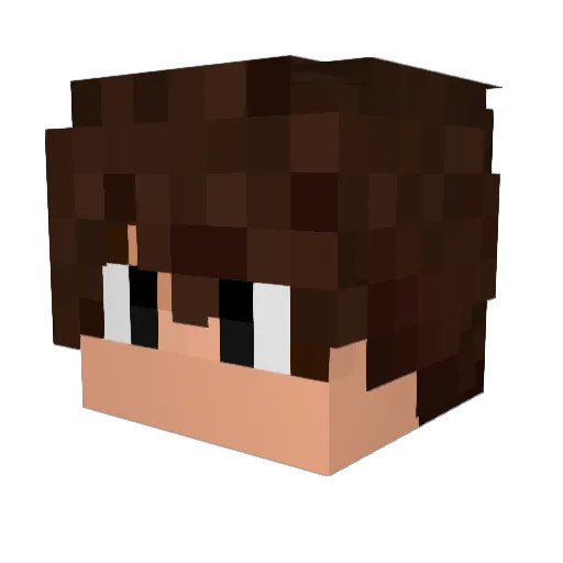 felps_progamer Minecraft avatar head, 3D render