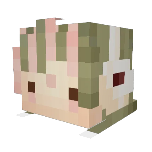 feltedcake Minecraft avatar head, 3D render