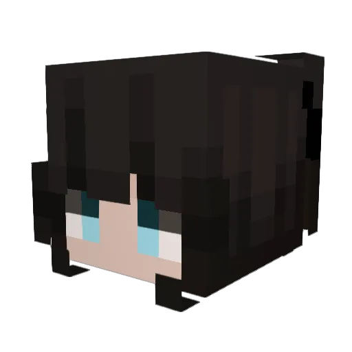 feltie_sj Minecraft avatar head, 3D render