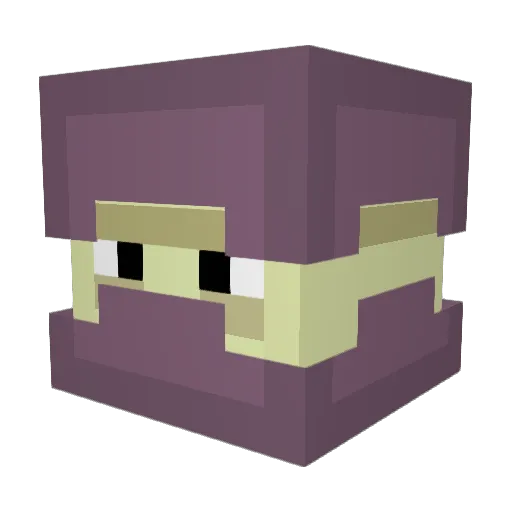 femboyrouter Minecraft avatar head, 3D render